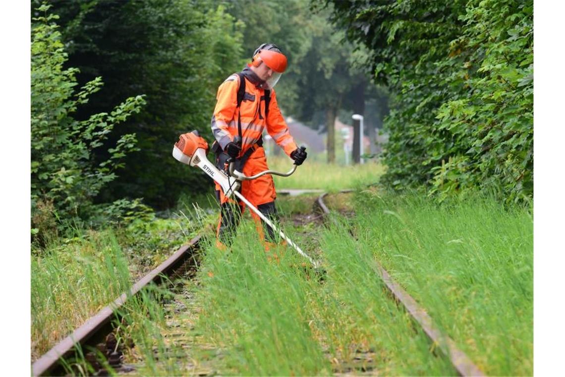 Verbände fordern Reaktivierung stillgelegter Bahn-Strecken