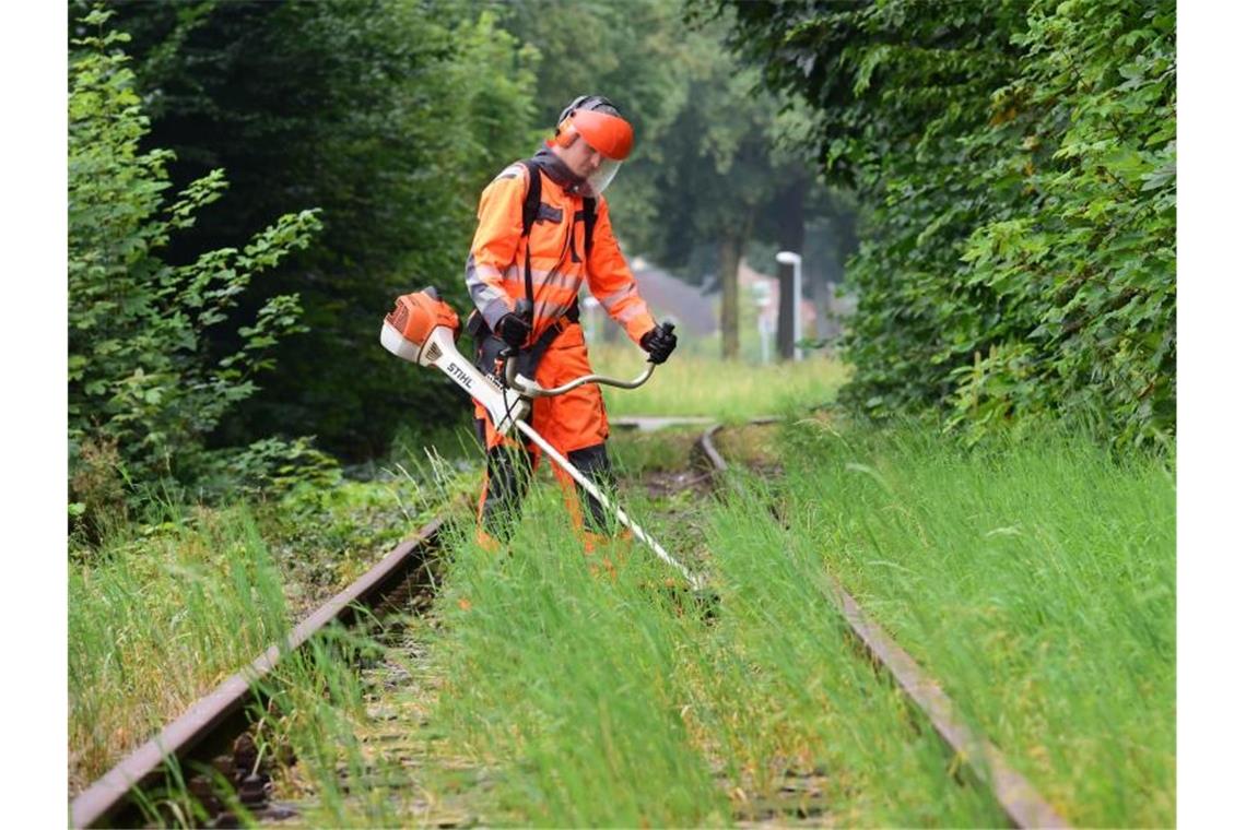 Verbände fordern Reaktivierung stillgelegter Bahn-Strecken Geht es nach dem Verband Deutscher Verkehrsunternehmen und der Allianz pro Schiene, dann sollen viele stillgelegte Nebenstrecken möglichst bald wieder ans Netz gehen. Foto: picture alliance / dpa