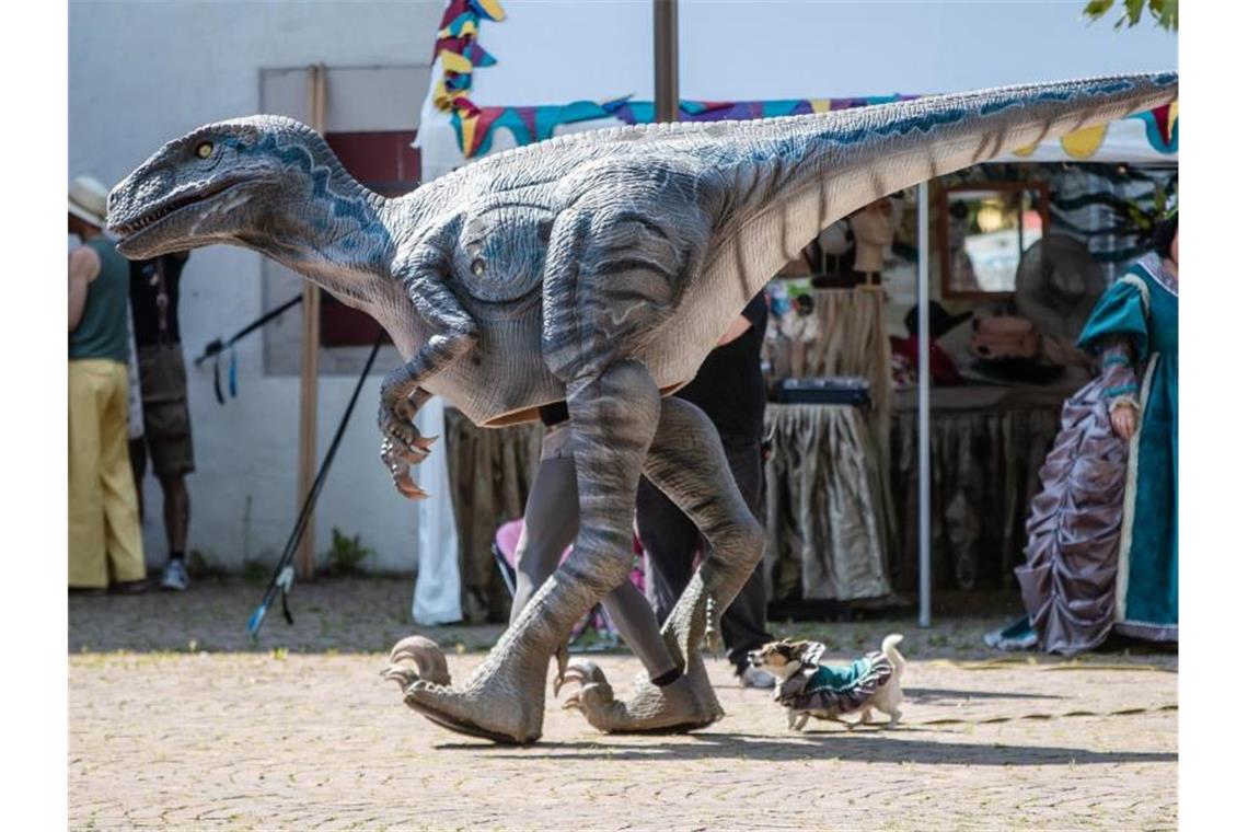 Tausende Menschen bei Fantasy-Festival in Bad Mergentheim Gekleidet als Dinosaurier läuft ein Besucher über das Gelände des Fantasy-Festivals "Annotopia". Foto: Christoph Schmidt/dpa/Archivbild