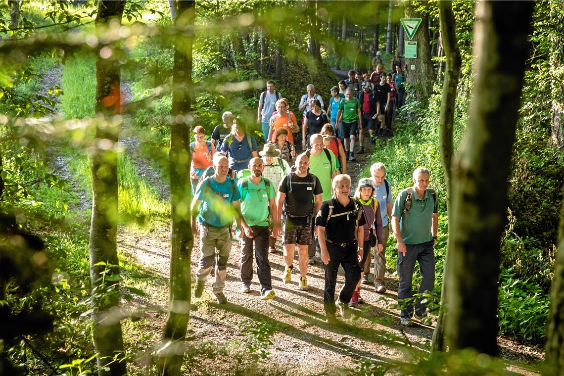 Benimmregeln in Wald und Flur angemahnt Gemeinsames Wandern – wie hier 2019 in der Abendsonne beim Hörschhof zum 40. Jubiläum des Naturparks – ist nur eine der Nutzungsformen, die der Wald den Menschen bietet. Archivfoto: A. Becher