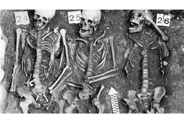 Gemeinschaftsgrab von Pestopfern auf dem Friedhof Sogn Pieder in Domat/Ems in der Schweiz. Die Bestattung wird mit einer Pestepidemie während des Dreißigjährigen Krieges um 1629 bis 1631 in Verbindung gebracht. Aus den Überresten von Individuum 24 konnte das vollständige Genom von Yersinia pestis rekonstruiert werden 