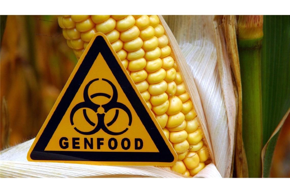 Gentechnisch veränderte Pflanzen müssen in Europa gekennzeichnet werden. Die EU will diese Regelung in einigen Bereichen abschwächen.