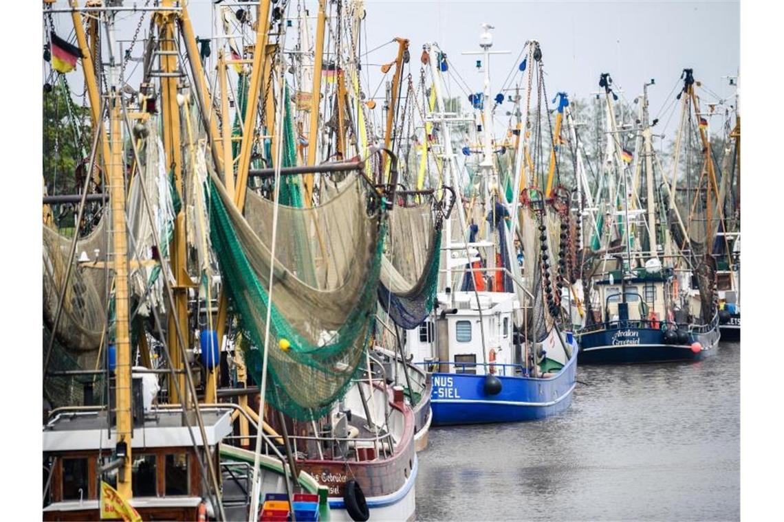 Gerade erst in die Saison gestartet, müssen Krabbenfischer an der deutschen Nordseeküste eine Zwangspause wegen Corona einlegen. Foto: Mohssen Assanimoghaddam/dpa