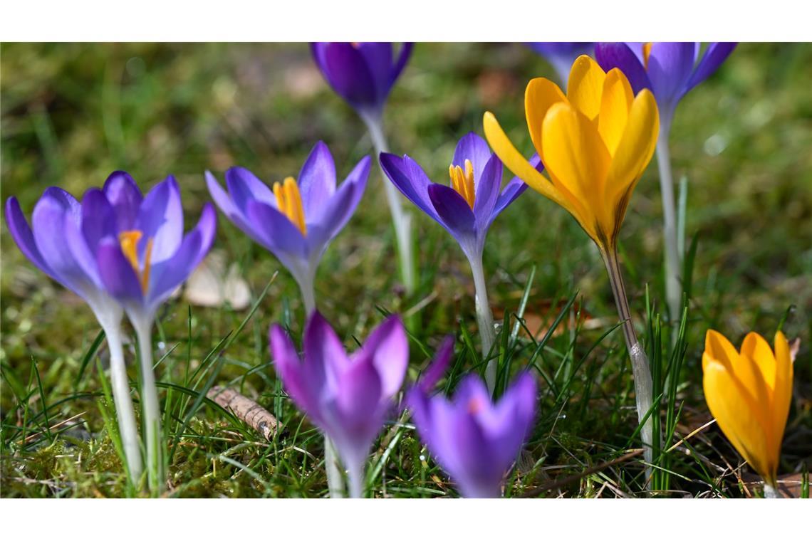 Gerade in den vergangenen Tagen gab es Sonne in Deutschland.
