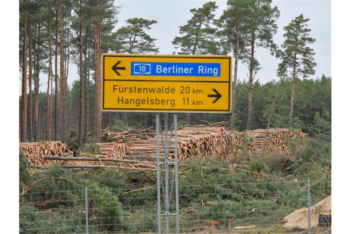 Rodung für die Tesla-Fabrik geht weiter - der Protest auch Gerodeter Kiefernwald auf dem Gelände der künftigen Tesla-Gigafactory. Foto: Patrick Pleul/dpa-Zentralbild/dpa