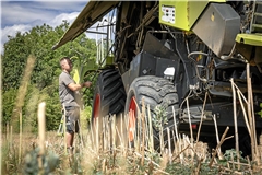 Gerste, Weizen und Raps hat Micha Friz für viele Landwirte bereits vor dem schweren Hagelgewitter eingebracht. Mit dem Ertrag zeigt er sich zufrieden. Foto: Alexander Becher