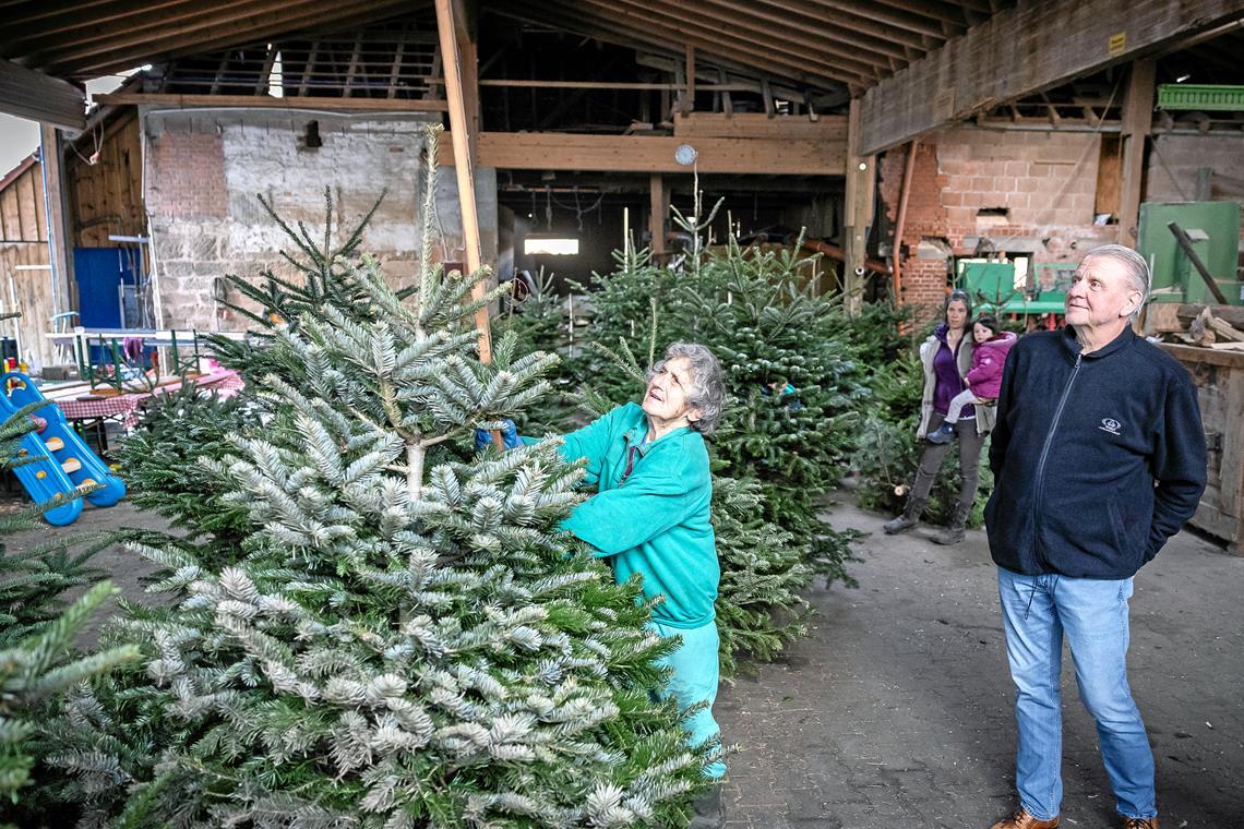 Gertrud Ernst vermisst den Baum. Ob er später in das Wohnzimmer der Familie Hellwig kommt?Foto: Alexander Becher
