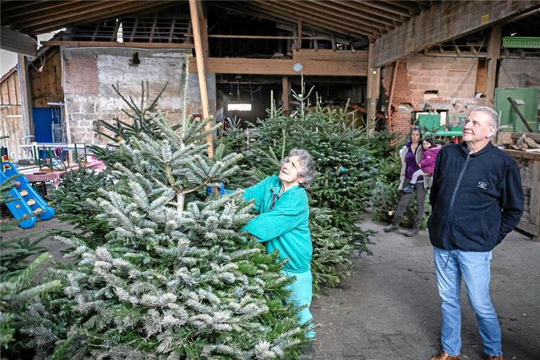 Gertrud Ernst vermisst den Baum. Ob er später in das Wohnzimmer der Familie Hellwig kommt?Foto: Alexander Becher