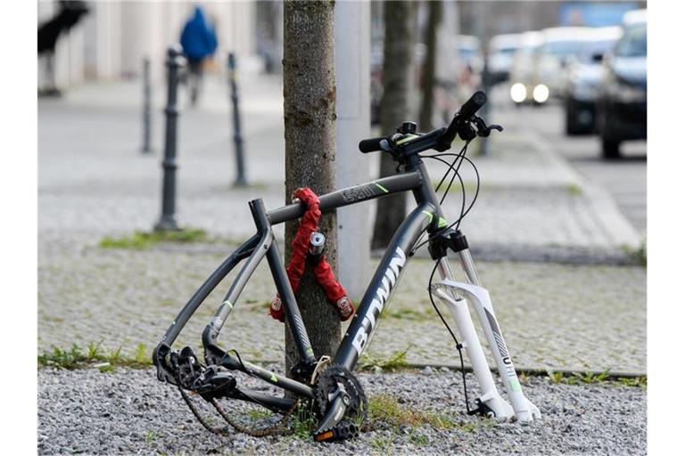 Gestohlen: Reifen und Sattel eines Fahrads sind vom Rahmen abmontiert worden. Foto: Jens Kalaene/zb/dpa