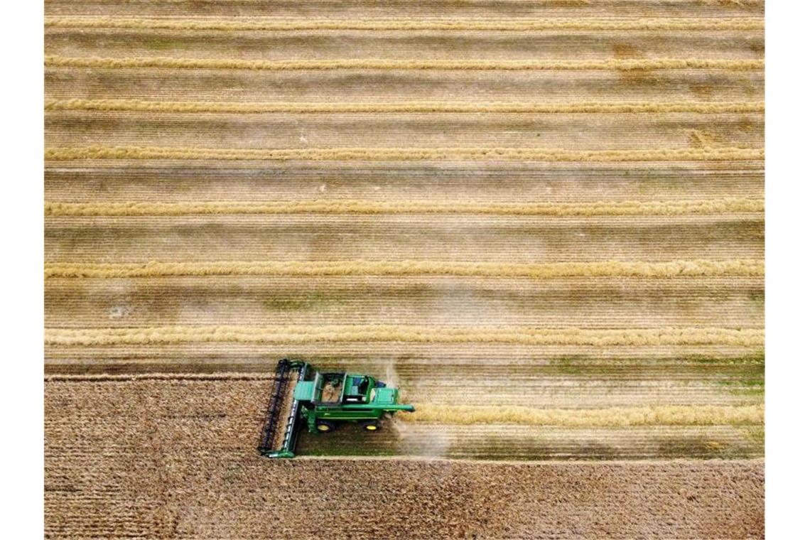 Getreideernte in Großbritannien. Foto: Gareth Fuller/Press Association/dpa