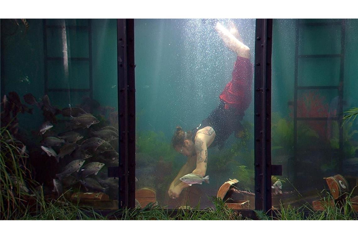 Gil Ofarim tauchte bei der Dschungelprüfung ab.