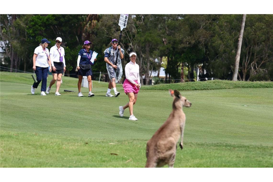 Gold Coast (Australien): Ungewohnter Zuschauer – die Finnin Noora  Komulainen trifft in der WPGA-Finalrunde auf ein Känguru.