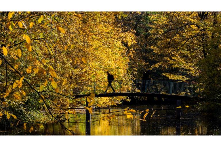 Goldener Morgen in Köln