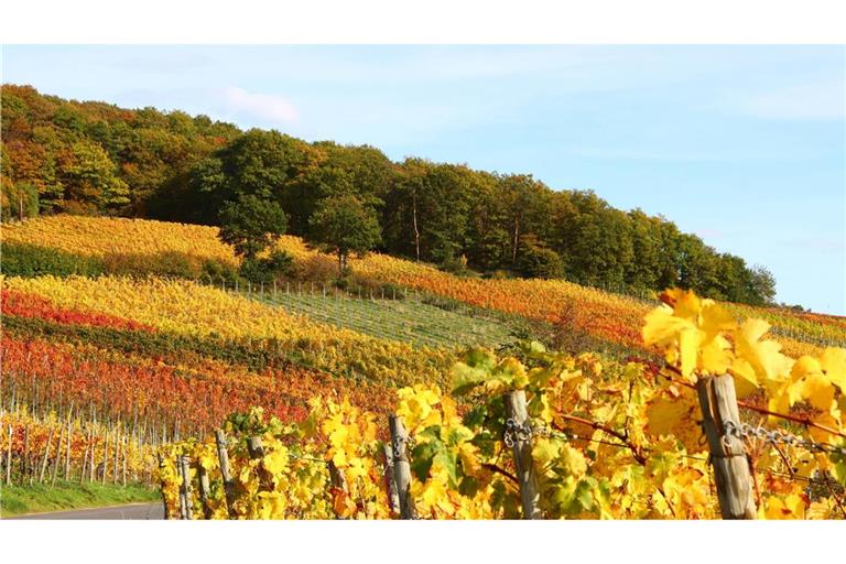 Goldener Oktober voraus.
