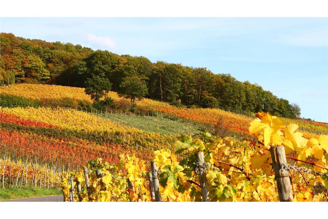 Goldener Oktober voraus.