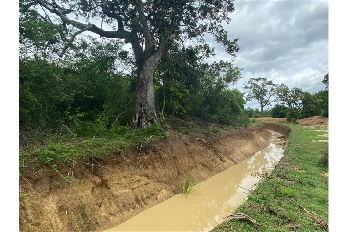 Naturschützer kämpfen gegen Elefantenschutzprojekt Gräben sollen Elefanten im Udawalawe-Nationalpark südöstlich von Colombo davon abhalten, in besiedeltes Gebiet vorzudringen. Foto: Biodiversity conservation and Research Circle/dpa