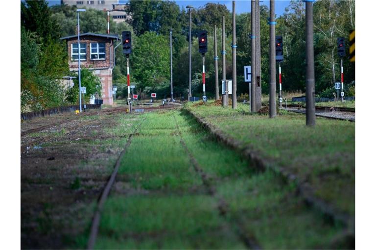 Gras wächst zwischen den Schienen auf dem Gelände des Bahnhofs von Malchin in Mecklenburg-Vorpommern. Foto: Jens Büttner/zb/dpa