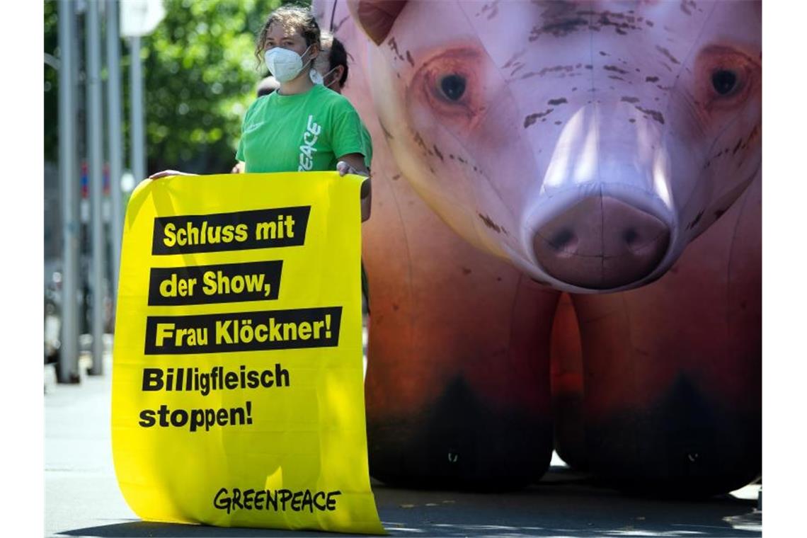 Greenpeace-Aktivisten protestierten am Rande des Branchengesprächs in Düsseldorf. Foto: Federico Gambarini/dpa