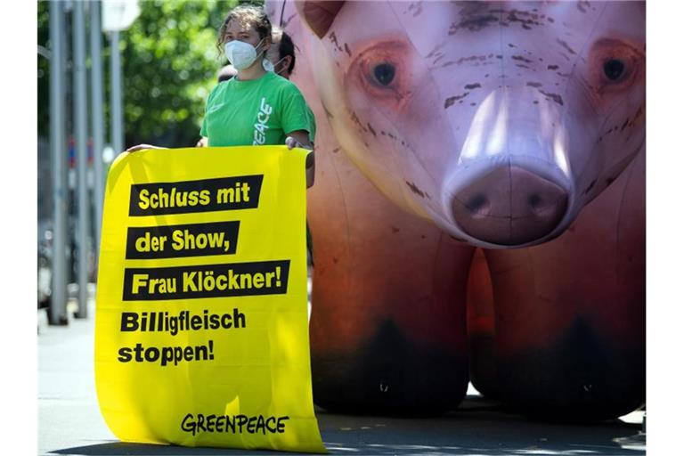 Greenpeace-Aktivisten protestierten am Rande des Branchengesprächs in Düsseldorf. Foto: Federico Gambarini/dpa