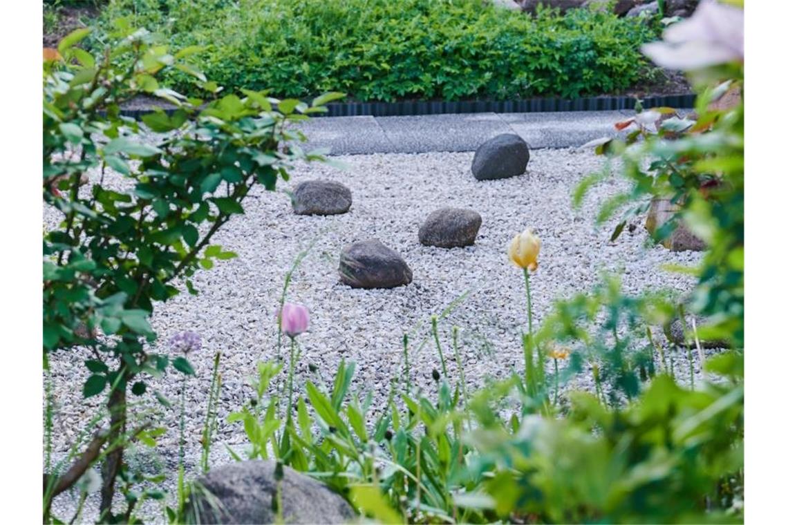 Größere und kleinere Steine liegen in einem Vorgarten. Foto: Annette Riedl/dpa/Archivbild