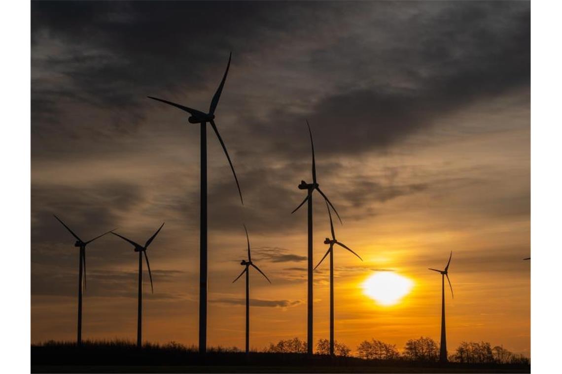 Größter Ökostromlieferant waren Windräder an Land mit fast 43 Milliarden Kilowattstunden. Foto: Patrick Pleul/dpa-Zentralbild/dpa