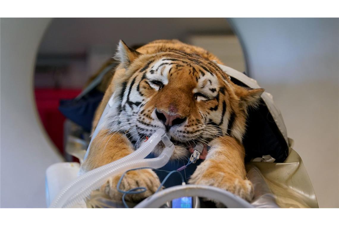 Bilder des Tages Bilder des Tages