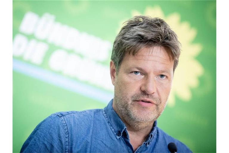 Grünen-Chef Robert Habeck: „Müssen die Vergangenheit teurer machen und die Zukunft günstiger.“ Foto: Kay Nietfeld