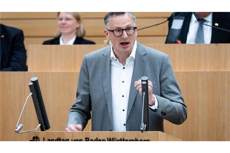 Grünen-Fraktionschef Andreas Schwarz