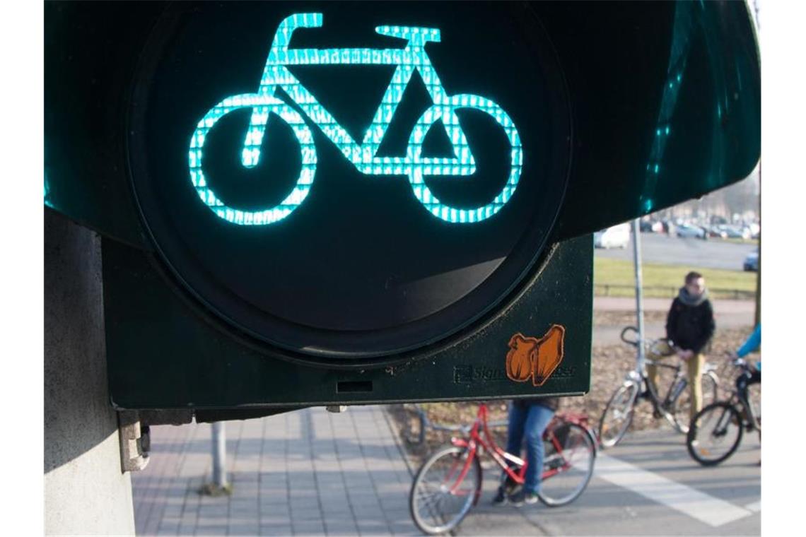 Grünes Licht zeigt eine Fahrradampel auf einem Radweg an. Foto: Friso Gentsch/dpa/Symbolbild