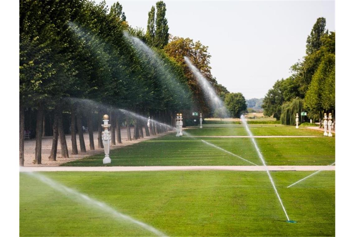 Grünflächen werden im Schwetzinger Schlossgarten mit Wasser gegossen. Foto: Christoph Schmidt