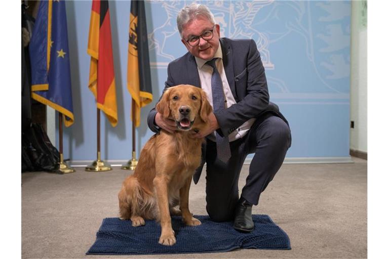 Guido Wolf (CDU), Justizminister von Baden-Württemberg, sitzt neben dem Therapiebegleithund Watson. Foto: Sebastian Gollnow/dpa