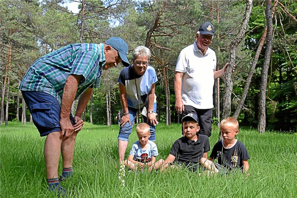 Gustav Zeltwanger, Ingrid Grolich, Jürgen Burr zeigen Ben, Jan und Nick (von links) eine der Orchideenschönheiten im Sommerrain.