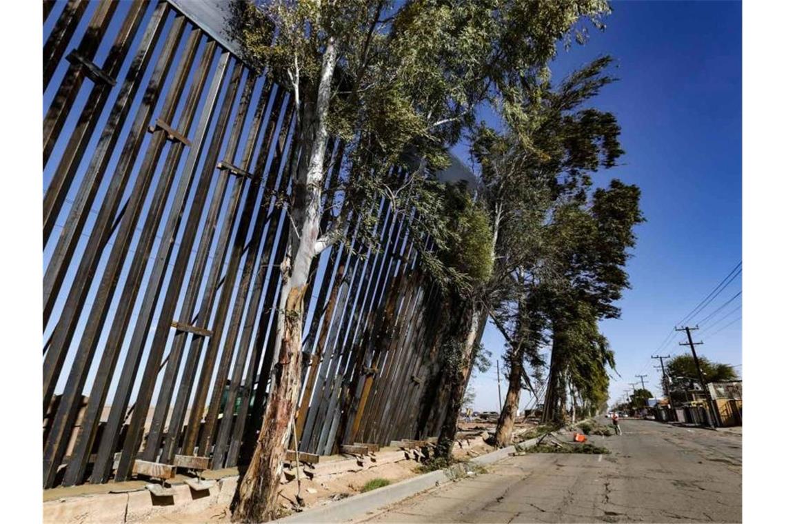 Wind wirft Teile der neuen US-Grenzmauer um Gut, dass die Bäume wenigstens halten: Ein Teil des Grenzzauns zwischen Mexiko und den USA wurde vom Wind umgeworfen. Foto: El Universal/El Universal via ZUMA Wire/dpa