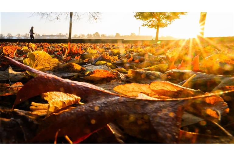 Gute Aussichten für den 3. Oktober – aber nur kurz.
