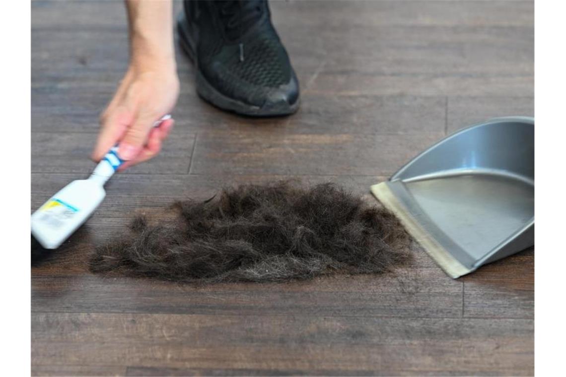 Haare werden zusammengefegt. Foto: Arne Dedert/dpa