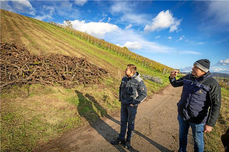 Hackschnitzel statt Trauben: Die Kleinaspacher Wengerter Marco (links) und Matthias Holzwarth haben die Bewirtschaftung einiger Steillagen unterhalb von Sinzenburg vorerst aufgegeben. Foto: Alexander Becher