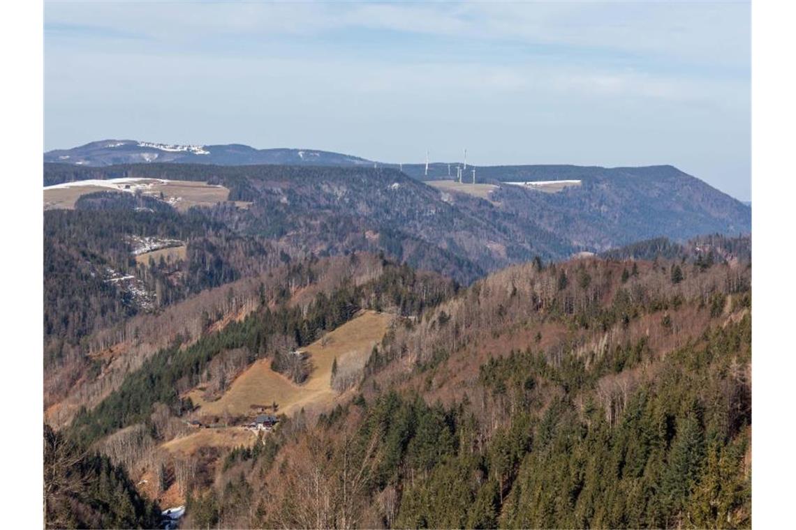 Land fördert kommunale Tourismusprojekte mit Millionensumme Hänge im Hochschwarzwald sind zu sehen. Foto: Philipp von Ditfurth/dpa