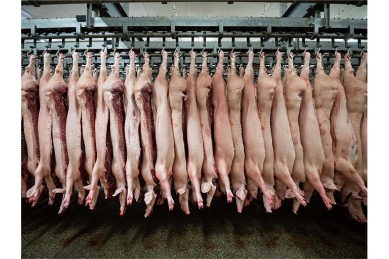 Halbierte Schweine hängen im Schlachthof. Foto: Mohssen Assanimoghaddam/dpa