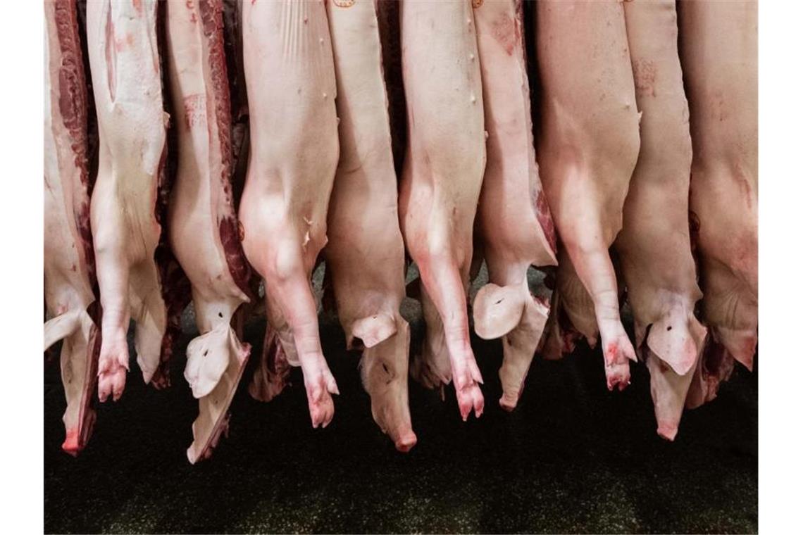 Halbierte Schweine hängen in einem Schlachthof. Der Fleischkonsum in Deutschland ist rückläufig. Foto: Mohssen Assanimoghaddam/dpa