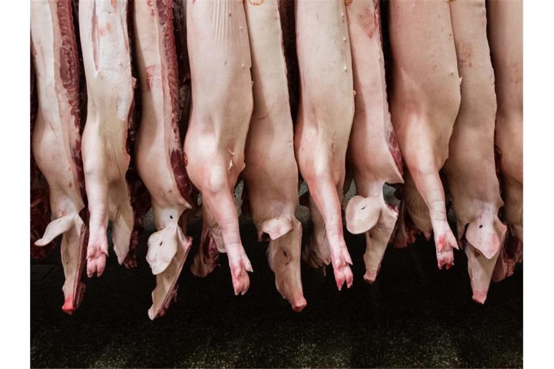 Halbierte Schweine hängen in einem Schlachthof. Foto: Mohssen Assanimoghaddam/dpa