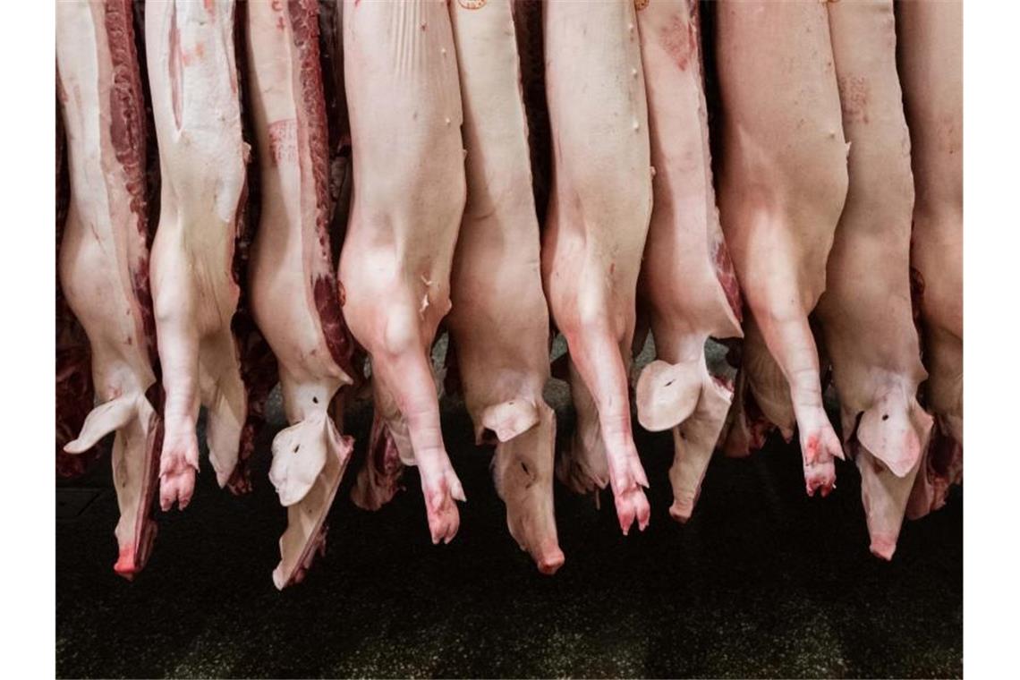 Fleischbetriebe stocken Stammbelegschaft auf Halbierte Schweine hängen in einem Schlachthof. Foto: Mohssen Assanimoghaddam/dpa
