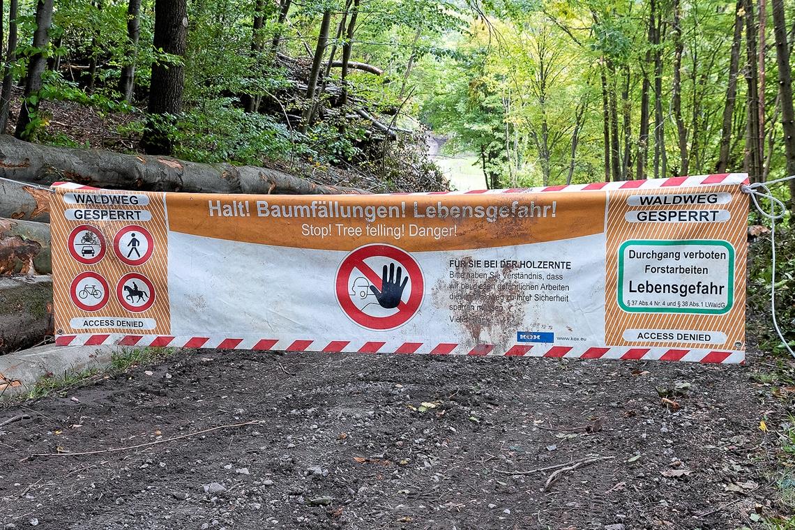 Halt! Lebensgefahr! – solche Banner warnen an Waldwegen vor Baumfällungen. Archivfoto: J. Fiedler