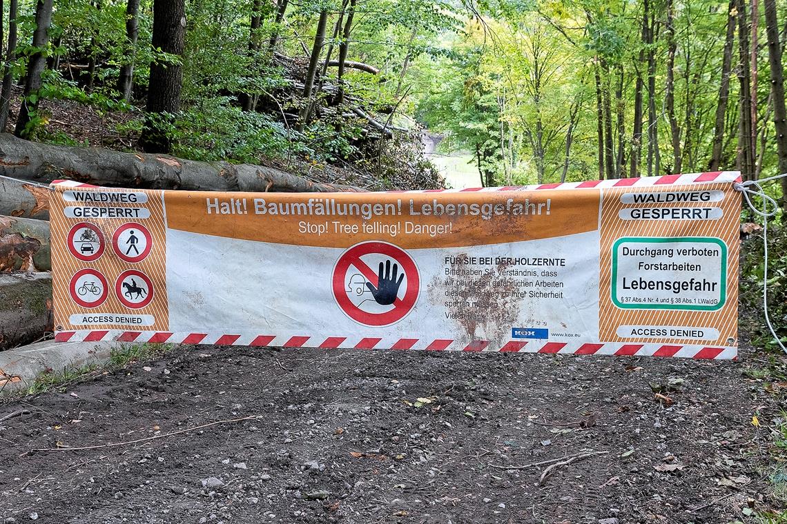 Der Kirchberger Wald steht gar nicht schlecht da Halt! Lebensgefahr! – solche Banner warnen an Waldwegen vor Baumfällungen. Archivfoto: J. Fiedler