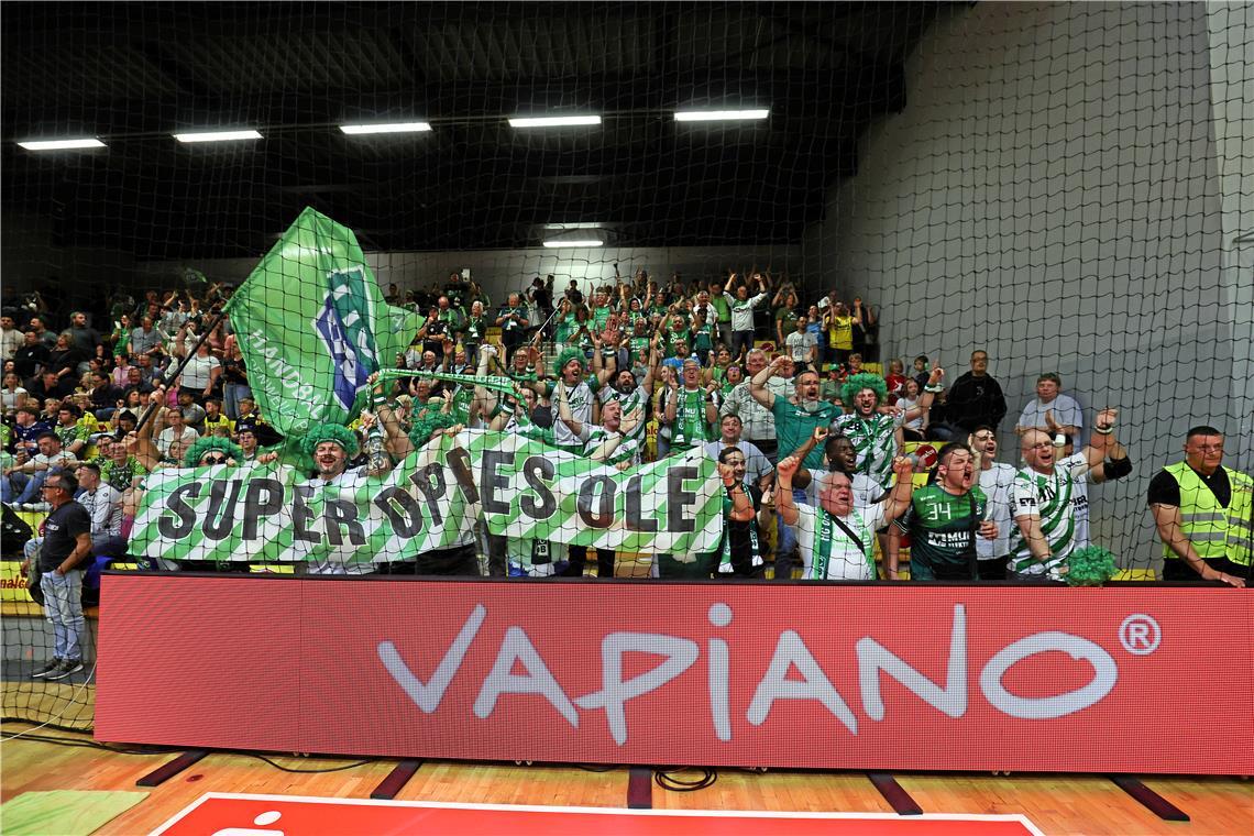 Handball, HC Oppenweiler/Backnang, Rückspiel beim HC Eintracht Hildesheim und Ju...