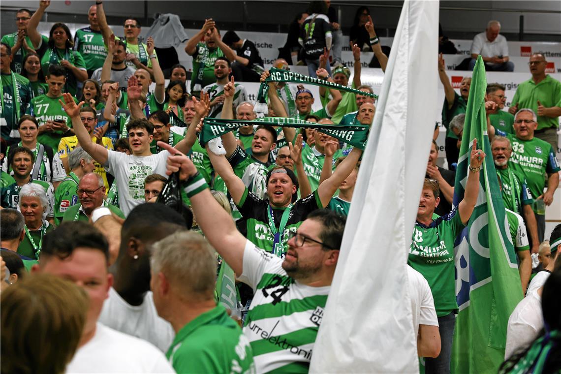 Handball, HC Oppenweiler/Backnang, Rückspiel beim HC Eintracht Hildesheim und Ju...