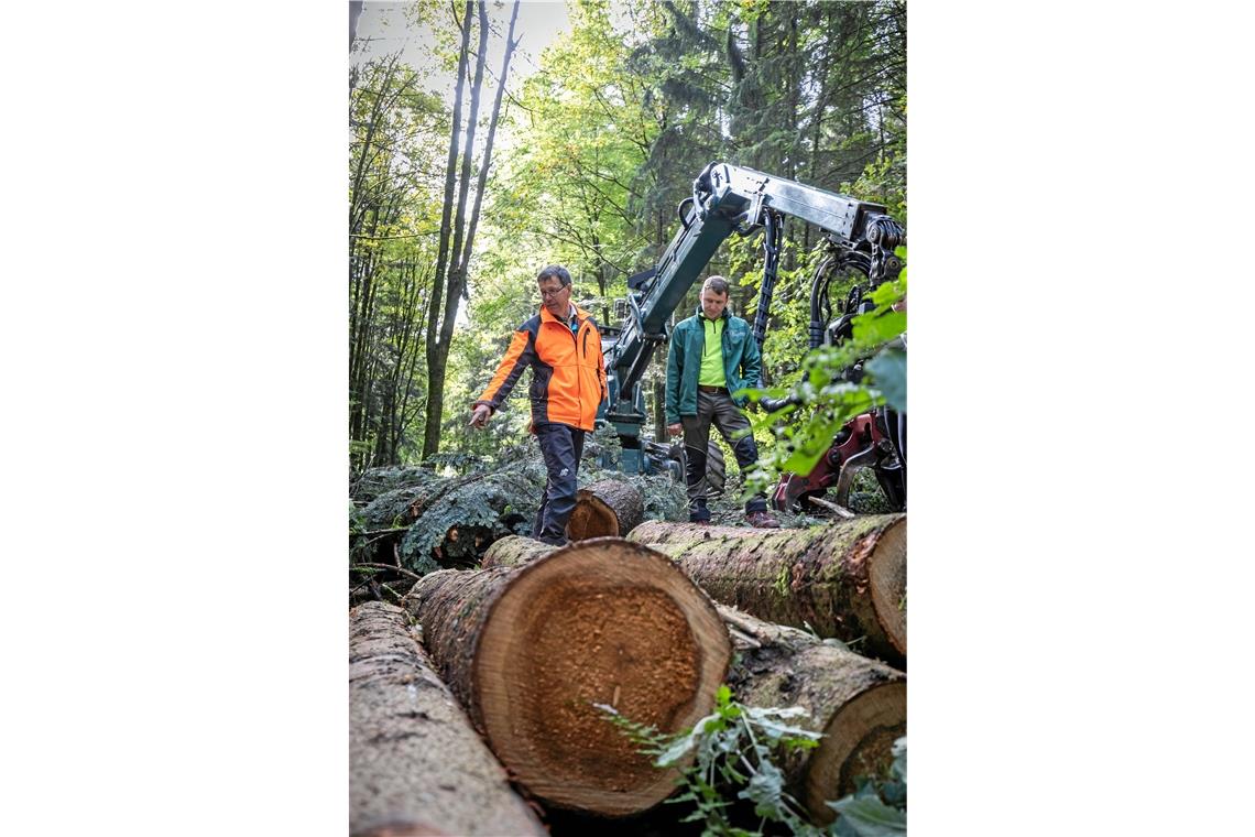 Holzernte beginnt: Fällen für die nächste Generation Wald Hans-Joachim Bek (links) und Marc Klunzinger erklären, welche Bäume gefällt werden.