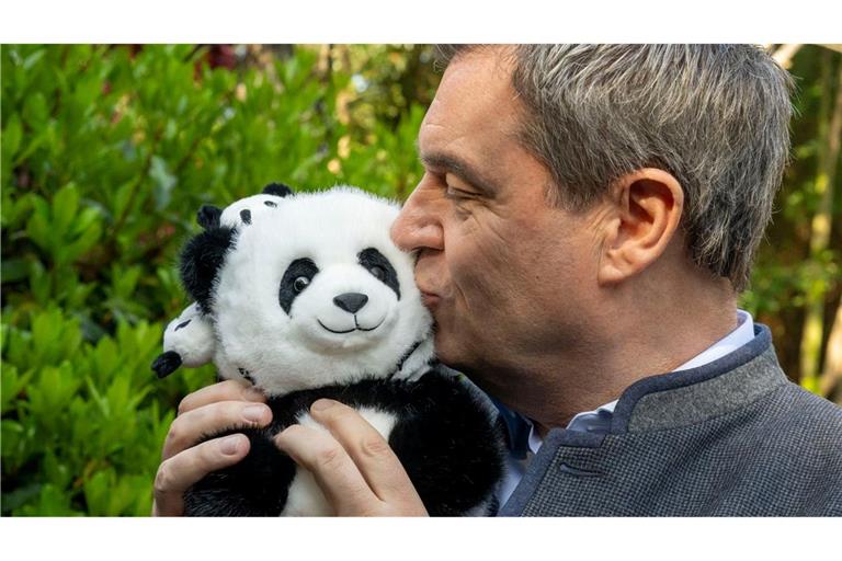 Hat im chinesischen Chengdu ein Panda-Kuscheltier geküsst: Bayerns Ministerpräsident Markus Söder.