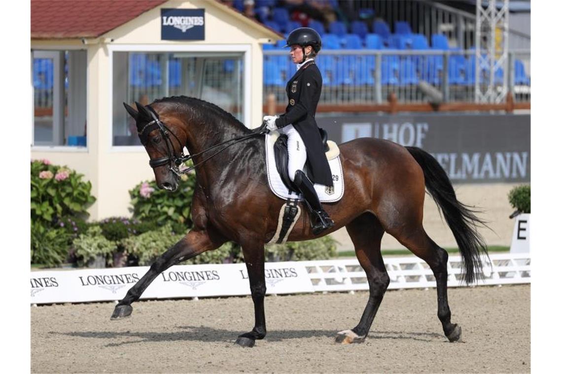 Nur Platz zwei bei Start der Dressur-EM: Gold in Gefahr? Helen Langehanenberg auf ihre Pferd Annabelle. Foto: Friso Gentsch/dpa