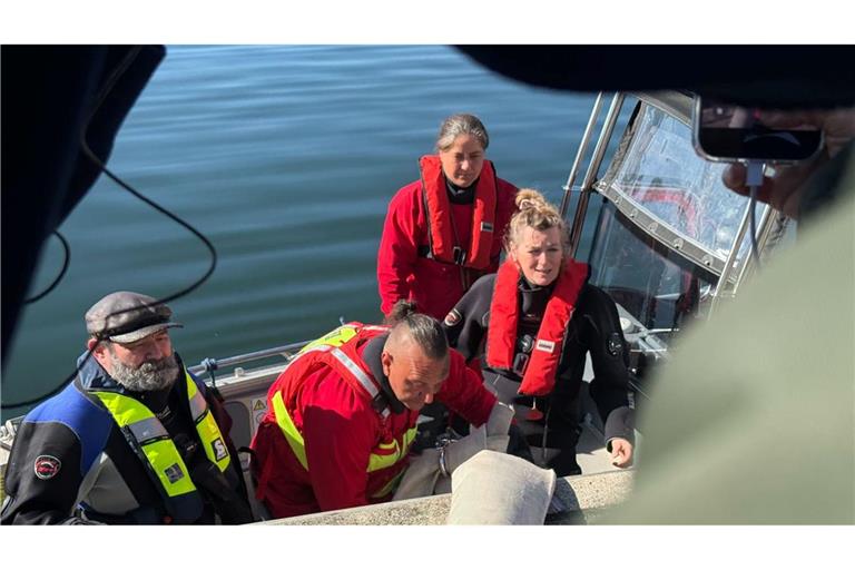 Helfer besteigen ein Boot, um zum Wal hinauszufahren.