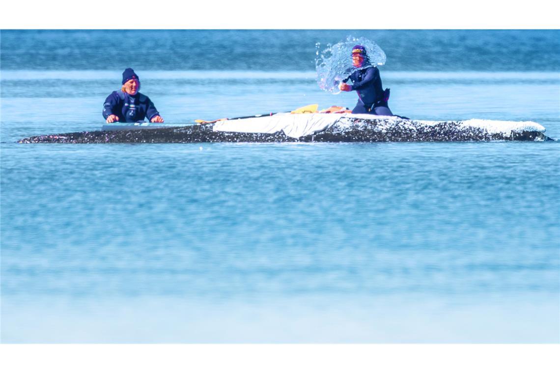 Helfer spritzen Wasser auf den gestrandeten Buckelwal vor der Insel Poel und wollen damit, sowie feuchten Laken, die Haut des Tieres schützen (Archivfoto).